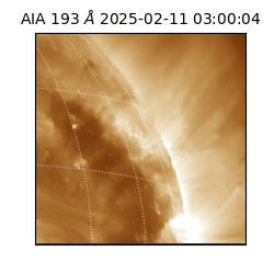 saia - 2025-02-11T03:00:04.843000