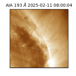 saia - 2025-02-11T08:00:04.843000