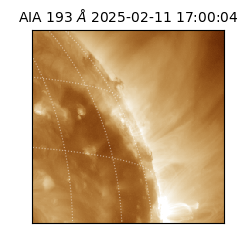 saia - 2025-02-11T17:00:04.843000