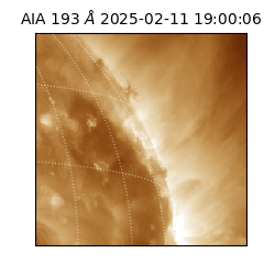 saia - 2025-02-11T19:00:06.647000