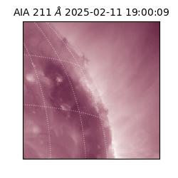 saia - 2025-02-11T19:00:09.626000