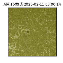 saia - 2025-02-11T08:00:14.126000