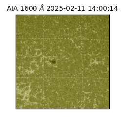 saia - 2025-02-11T14:00:14.126000