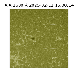 saia - 2025-02-11T15:00:14.125000