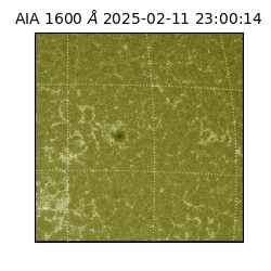 saia - 2025-02-11T23:00:14.125000