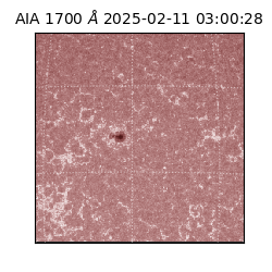 saia - 2025-02-11T03:00:28.718000