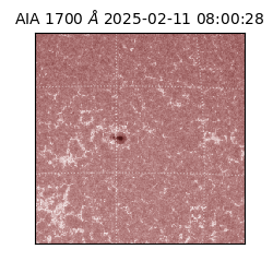 saia - 2025-02-11T08:00:28.717000
