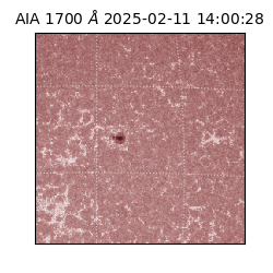 saia - 2025-02-11T14:00:28.717000