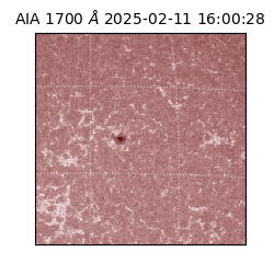 saia - 2025-02-11T16:00:28.717000