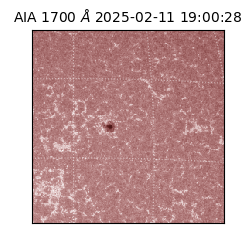 saia - 2025-02-11T19:00:28.717000