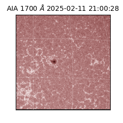 saia - 2025-02-11T21:00:28.718000