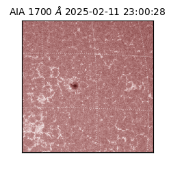 saia - 2025-02-11T23:00:28.741000