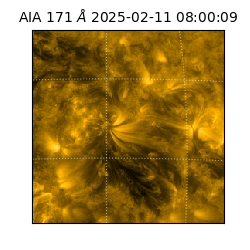 saia - 2025-02-11T08:00:09.350000