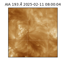 saia - 2025-02-11T08:00:04.843000