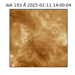 saia - 2025-02-11T14:00:04.843000