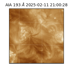 saia - 2025-02-11T21:00:28.844000