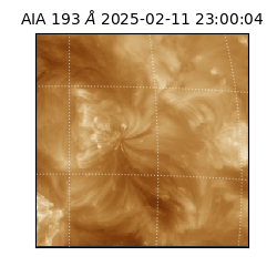 saia - 2025-02-11T23:00:04.845000