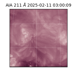 saia - 2025-02-11T03:00:09.630000