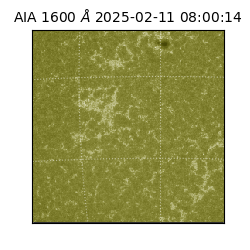 saia - 2025-02-11T08:00:14.126000