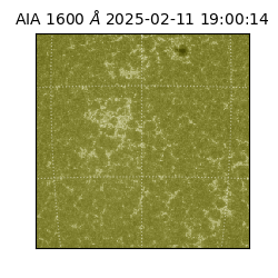 saia - 2025-02-11T19:00:14.126000