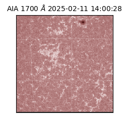 saia - 2025-02-11T14:00:28.717000