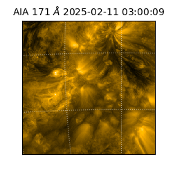 saia - 2025-02-11T03:00:09.350000