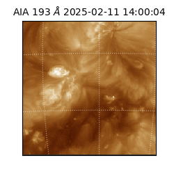 saia - 2025-02-11T14:00:04.843000