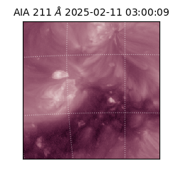 saia - 2025-02-11T03:00:09.630000