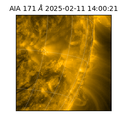 saia - 2025-02-11T14:00:21.350000
