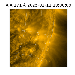 saia - 2025-02-11T19:00:09.350000