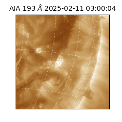 saia - 2025-02-11T03:00:04.843000