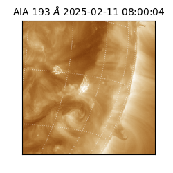 saia - 2025-02-11T08:00:04.843000