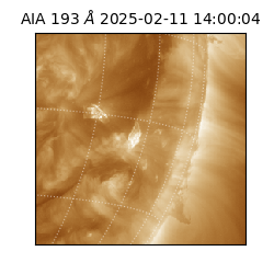 saia - 2025-02-11T14:00:04.843000