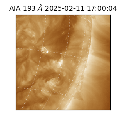 saia - 2025-02-11T17:00:04.843000