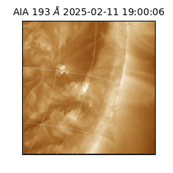 saia - 2025-02-11T19:00:06.647000