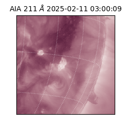 saia - 2025-02-11T03:00:09.630000