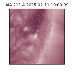 saia - 2025-02-11T19:00:09.626000