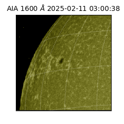 saia - 2025-02-11T03:00:38.133000