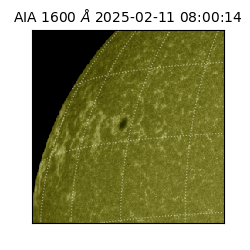 saia - 2025-02-11T08:00:14.126000