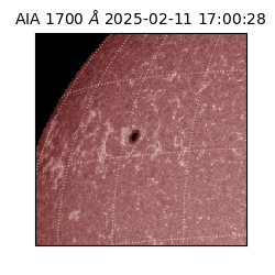 saia - 2025-02-11T17:00:28.717000