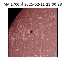 saia - 2025-02-11T21:00:28.718000