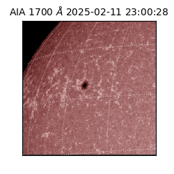 saia - 2025-02-11T23:00:28.741000