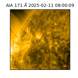 saia - 2025-02-11T08:00:09.350000