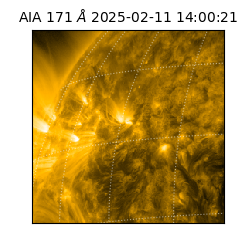 saia - 2025-02-11T14:00:21.350000