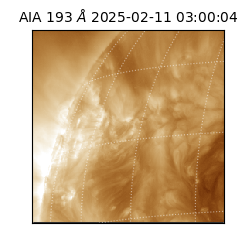 saia - 2025-02-11T03:00:04.843000