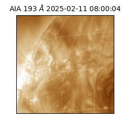 saia - 2025-02-11T08:00:04.843000