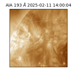 saia - 2025-02-11T14:00:04.843000