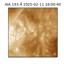 saia - 2025-02-11T16:00:40.843000