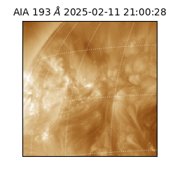 saia - 2025-02-11T21:00:28.844000