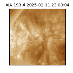 saia - 2025-02-11T23:00:04.845000